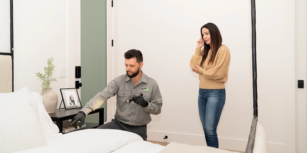 Can bed bugs be killed by pest control? 3 Sacramento bed bug treatment options